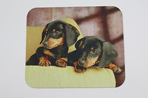 Black and Tan Dashchunds Mouse Pad