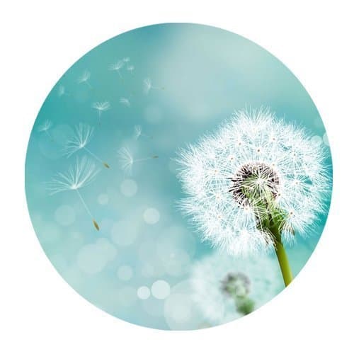 Pure White Dandelion And Flying Seed Personalized Round Mouse Pad