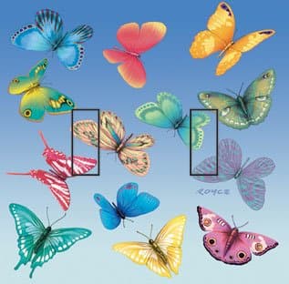 Butterfly Magic Double Toggle Peel and Stick Switch Plate Cover Décor