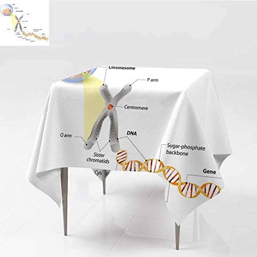 Waterproof Tablecloth Educational Cell Chromosome DNA Gene Genome Study Double Helix Evolution Science Research Multicolor Party W70 xL79