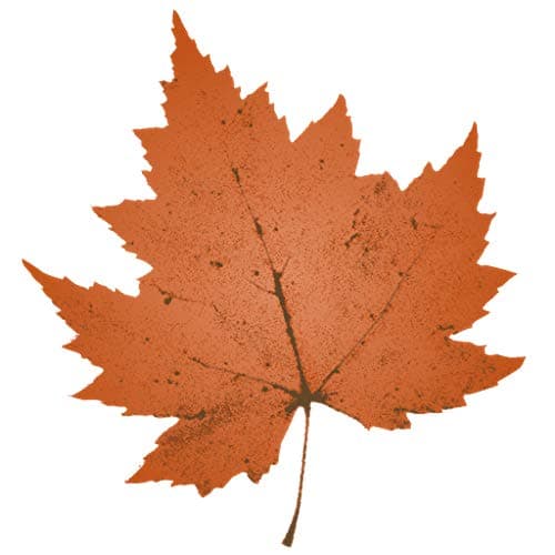 Refoc Maple Leaves Garland String Lights 30 LED Lights 10Ft Seasonal Waterproof Fall Leaf Decoration Halloween Thanksgiving Christmas Party (2 Pack)