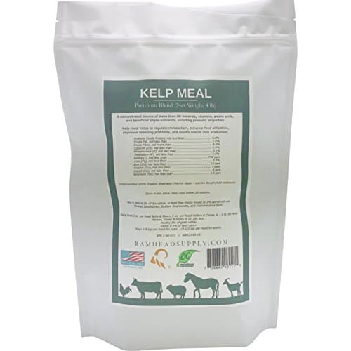 Premium Organic Kelp Meal