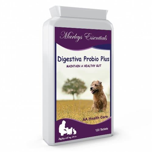 Marleys Essentials DIGESTIVA PROBIO Plus 5 Strain Probiotic Supplement for Dogs. 120 Chewable Chicken Flavour Tablets 2 Billion CFUs per tablet. Added Digestive Enzymes and Prebiotics