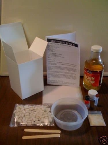 Educational Science Bubble Gum Making Kit BG101