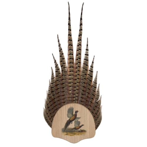 Walnut Hollow Country Solid Wood Pheasant Tail Mount & Display Kit with James Meger Image on Oak for Hunters, Oak with Pheasants Vignette