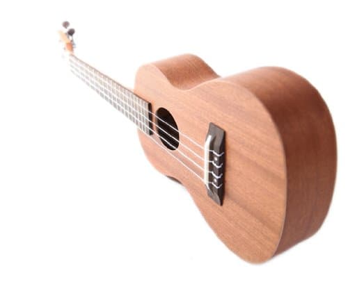 Abalone 1.5 mm Diameter