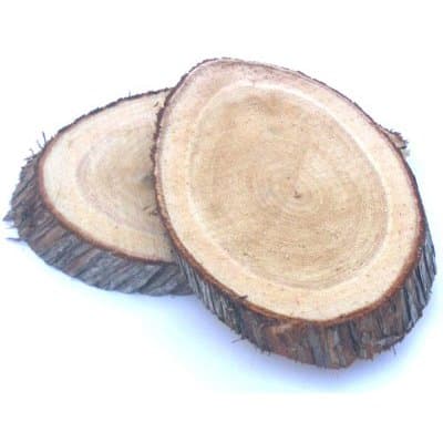 5" x 7" White Cedar Oval Grilling Plank - Box of 50