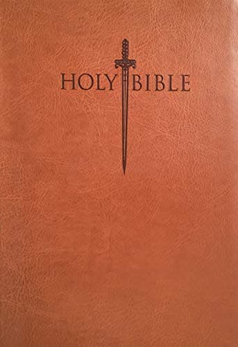 King James Version Easy Read Sword Value Thinline Bible Larg