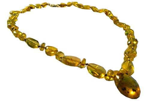 Domincan Blue Amber Necklace