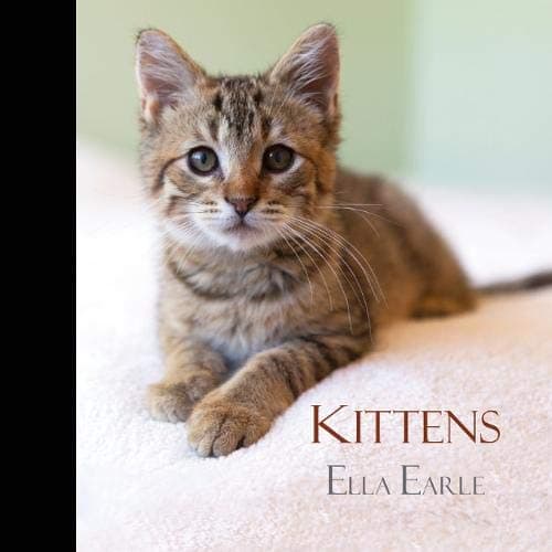Kittens Hardcover – June 1, 2015
