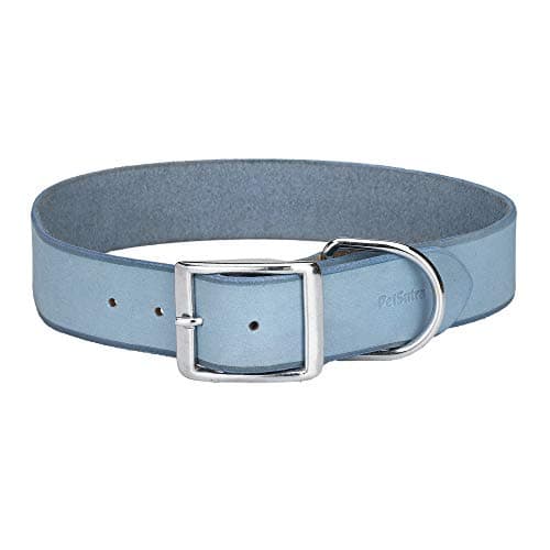 PetSutra Leather Dog Collar, for Small, Medium and Large Sized Dogs, Multi Color, Multi Size (Large, Air Force Blue)