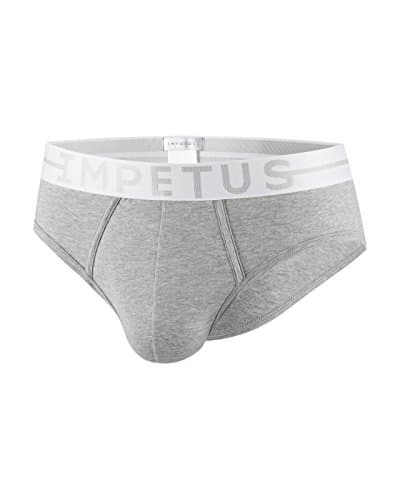 IMPETUS COTTON STRETCH Brief (M, Gray)