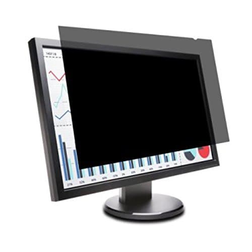Privacy Protection Screen Filter (Diagonally Measured) for 22" Widescreen Computer or Laptop Monitors