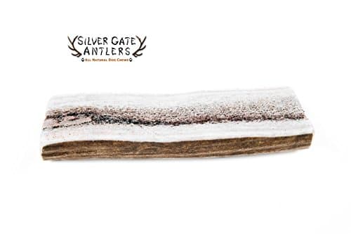 Silver Gate Antlers Elk Antler Split Dog Chew - MEDIUM 4-5" - USA All Natural Antlers For Dogs - Long Lasting Premium Antler Chews - Perfect for Small to Medium Breed Dogs