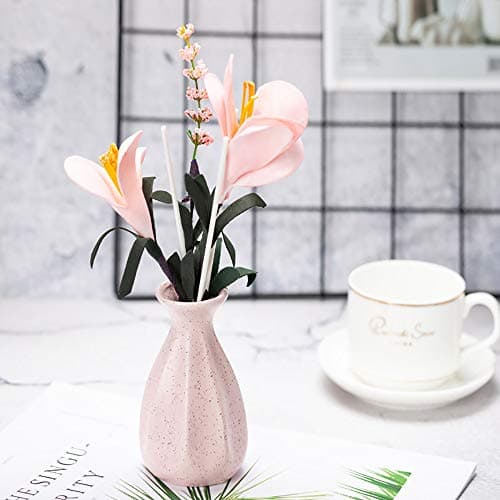 DENTRUN Natural Stick Ceramic Bottle,Artificial Flower Diffuser Set No Fire Aromatherapy,Home Bedroom Living Room Office Car Decor