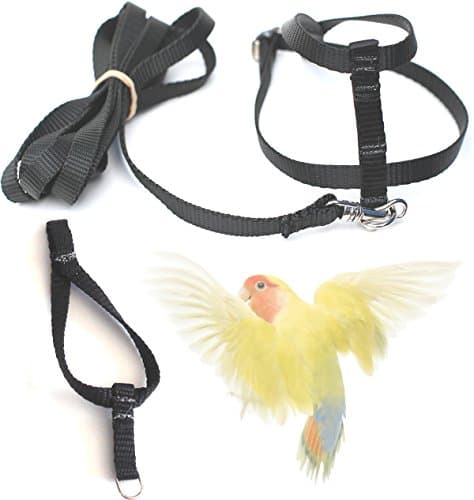 Fred Bird Harness &amp; Leash Plus Extra LARGER Head Loop for EASIER TRAINING for Lovebirds