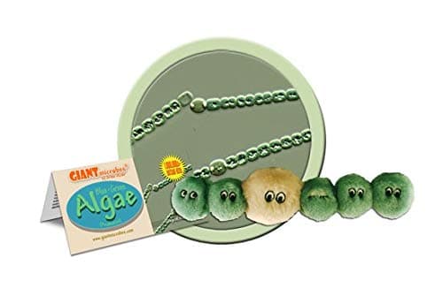 GIANTmicrobe Plush Anabaena Algae