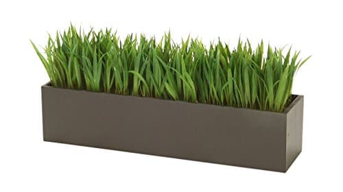 Distinctive Designs Grass in Rectangular Wood Box