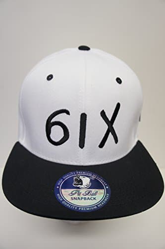 Drake 61X Snapback Hat