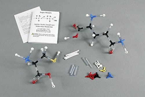 Amino Acids (Small Set) Molecular Model Kit(84 Pcs)