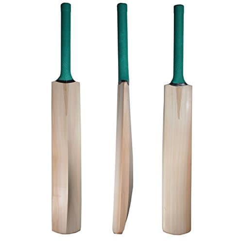 Facto Power Plain Kashmir Willow Cricket Bat with Short Handle