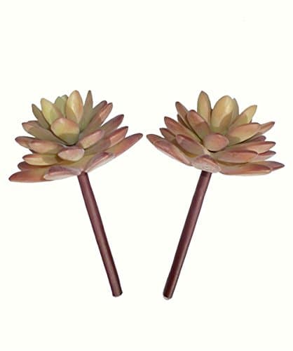 Dect Artificial Succulent Plants 5.5" Pachyveria(2pcs) (Brown)