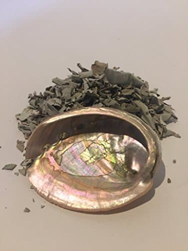 Small 3 inch Red Abalone Shell with loose White Sage smudge Travel Kit
