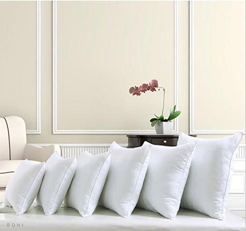 Rohi Square Polyester Cushion Pad Inserts, Filler Inner, Full Range of Sizes, White (Pack of 2, 20" x 20" (50cm x 50cm))