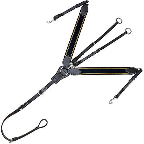 Exion Leaf Shape Breast Plate with Two Dee and Stainless Steel Buckles | Navy Blue Elastic with Yellow Lines | English Horse Riding Equestrian Premium Tack