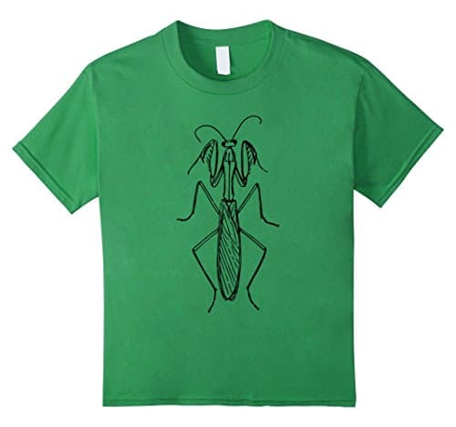 Kids Pray Mantis Shirt Praying Mantid Insect Bug Science T-Shirt 10 Grass