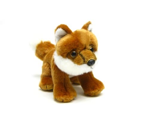 Leosco Fox with Beans Small