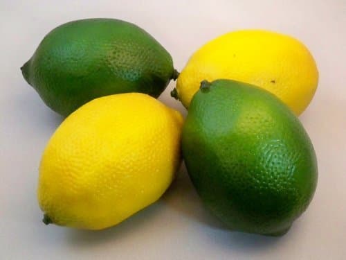 2 Best Artificial Lemons & 2 Best Artificial Limes Decorative Fruit by Best Artificial