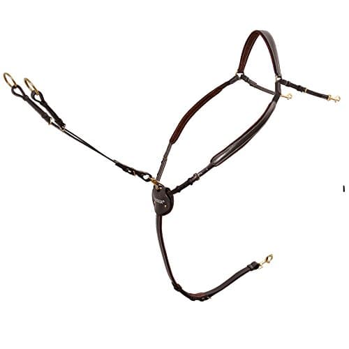 Passier breastplate Marcus Ehning