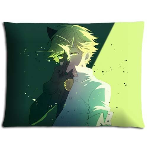 Eric M Lightweight Cotton Polyester Zippered Bedding Pillow Protectors Cases No-Shift Miraculous Tales of Ladybug Cat Noir 20x26 inch 50x66 cm