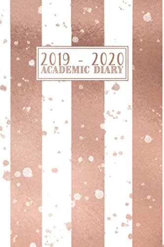 2019 - 2020 Academic Diary: Mid Year Weekly Student Planner | Horizontal Week to View with Notes | Rose Gold Stripes Paperback – 27 Aug 2019