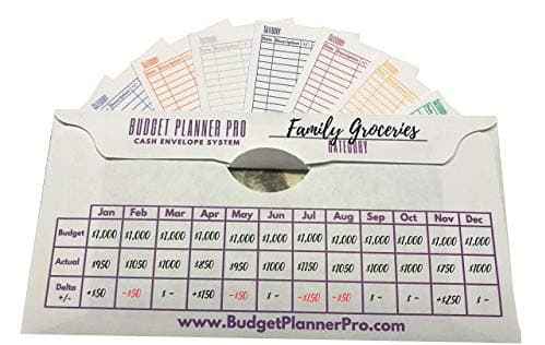 Cash Envelope System Budget Planner Wallet Organizer for Budgeting, Saving Money and Debt Relief, Durable with a Quick and Easy Open and Close Flap (12 Pack Assorted Colors)