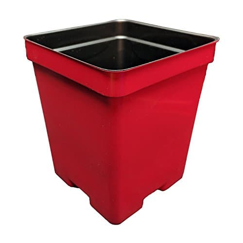 4.5" Square Deep Press Fit Plastic Flower Pots - Made in the USA - Reusable, Recyclable - Garden, Greenhouse, Hydroponics, Seed Starting (Actual Dimensions 4.125" Square by 5" Deep) (15, Red)
