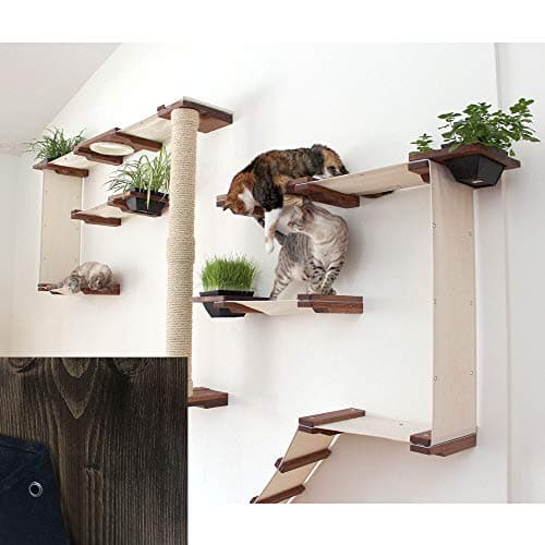 CatastrophiCreations Gardens Set for Cats Multiple-Level Wall Mounted Scratch, Hammock Lounge, Play & Climbing Activity Center Furniture Cat Tree Shelves
