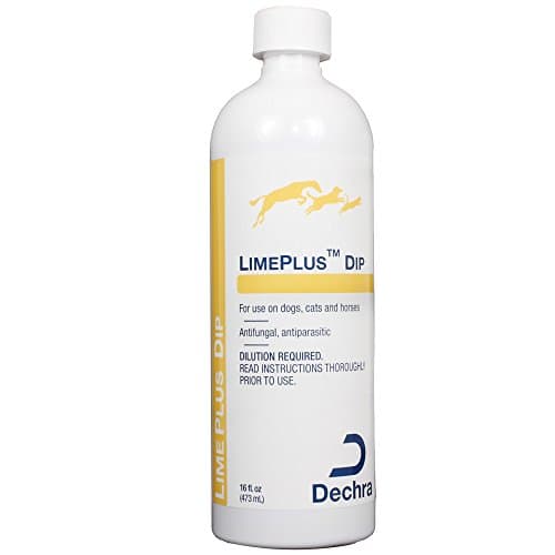 Dechra LimePlus Dip Sulfurated Lime Sulfur Concentrate 16oz.