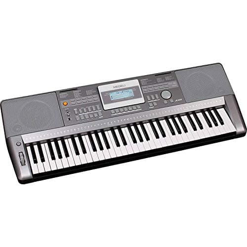 Medeli A100S 61-note keyboard, grey