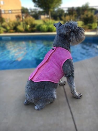 PupPal Pet Cooling Vest