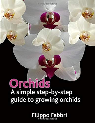 Orchids. A simple Step by Step Guide to Growing Orchids