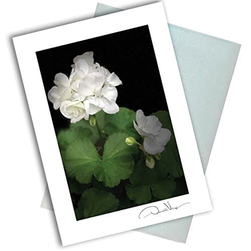 Single White Flower Note Card. 3x5 Blank Card with Classy Envelope. Best Birthday Cards, Thank You Notes, Invitations. Unique Christmas, Mother's Day &amp; Valentines Gifts for Women, Men, Kids