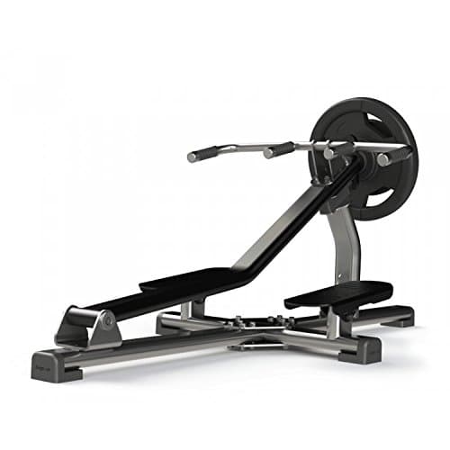 Exigo Standing T-Bar Row