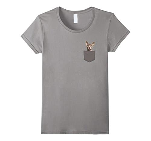 Womens Sphynx Cat In Pocket T-shirt Small Slate