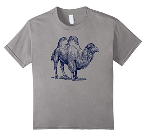 Kids Camel Tshirt Graphic Tee 4 Slate