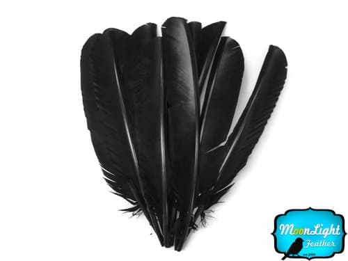 6 Pieces - Black Turkey Pointers Primary Wing Quill Large Feathers Fletching DIY Halloween | Moonlight Feather
