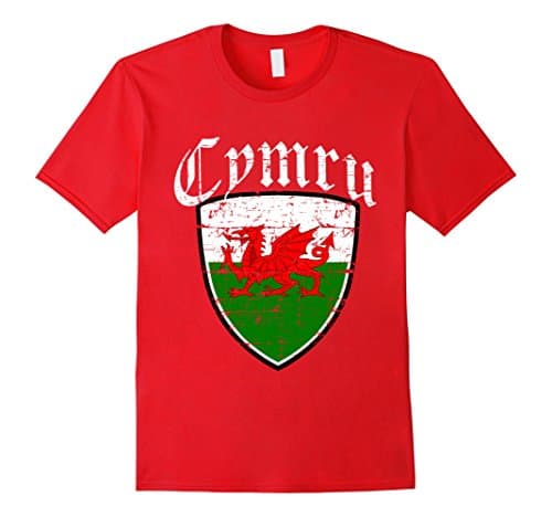 Mens Welsh Flag tshirt 2XL Red