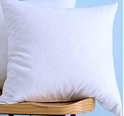 Cotton Fabric Decorative Throw Pillow Insert, Down and Feather Throw Pillow Insert, 28X28 Inches, Only One Pillow Insert
