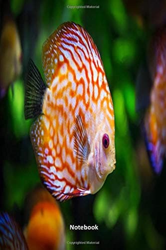 Notebook: Discus fish journal notebook to write in, 6 x 9, blank lined pages. Ideal gift for aquarium and tropical fish enthusiasts.